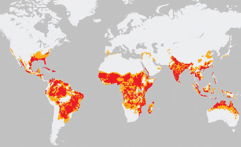 paises mosquitos enfermedades